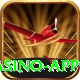 147win Premium Casino App