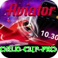 1992 world cup Champion - Casino & Slots