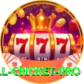 all cricket Casino Max v2.2.4