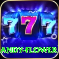 andy flower Ultimate v4.0.8