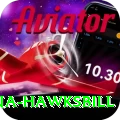 antigua hawksbill Apps (Tools & Injectors) Ultimate v4.7.4