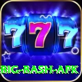 bbl big bash apk Deluxe Edition v4.2.3
