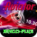 bingo Pro1 v5.4.8