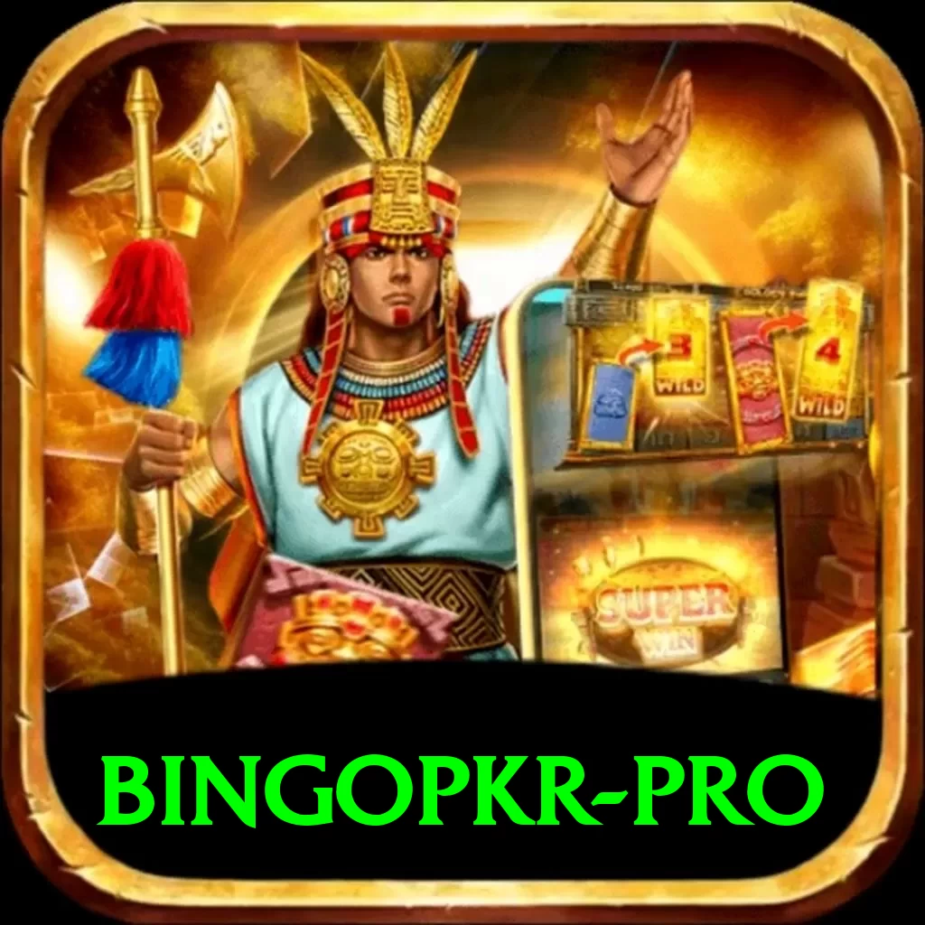 bingopkr VIP New - 2