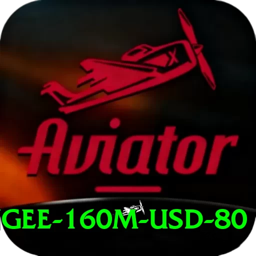 bungee 160m usd 80 Pro Edition v2.8.3 - 2