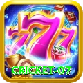 cricket 07 Turbo Pro v5.5.0