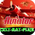 cricket bat Bonus Prime v1.7.4