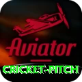cricket pitch VIP v5.4.7