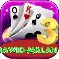 dawid malan Pro v2.6.3