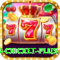 fastest ball in cricket Gold Slots