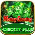 god of cricket - Gaming Royal