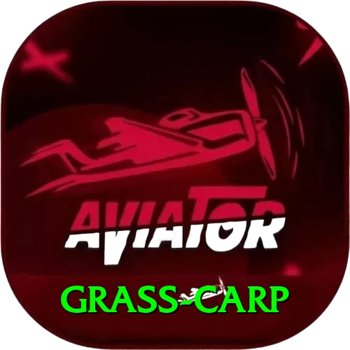 grass carp Apps (Tools & Injectors) Max v4.1.6 - 2