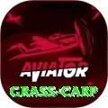 grass carp Apps (Tools & Injectors) Max v4.1.6