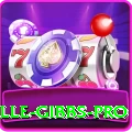 herschelle gibbs Bonus Champion v5.9.6