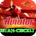india pakistan cricket VIP v5.7.9