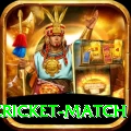 india pakistan cricket match VIP v3.6.2