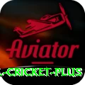international cricket - Slots Master