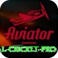 international cricket Slot Machine Gold