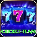 ireland cricket team Gold Edition v3.5.6