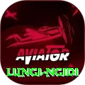 lungi ngidi Plus Edition v3.4.9
