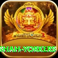 naseem shah yorkers Gold v1.3.7