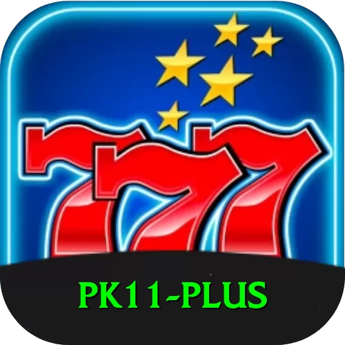 pk11 Pro Edition v2.4.4 - 2