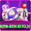 rudi koertzen Plus Pro v1.5.7