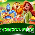 sky cricket Deluxe Pakistan