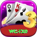 wc t20 Elite v1.2.6