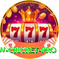 willow cricket Ultimate - Win Real PKR