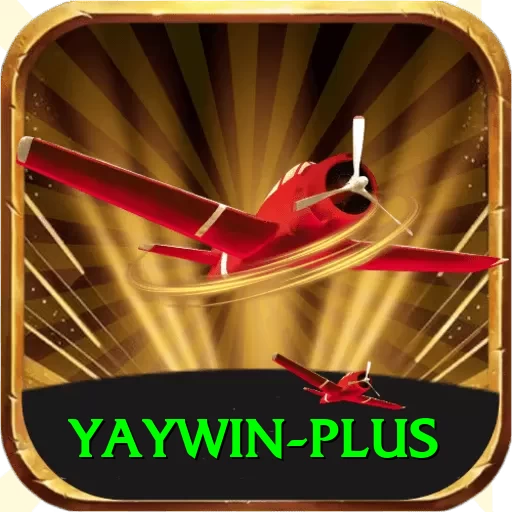 yaywin Deluxe Pro v3.6.3 - 2